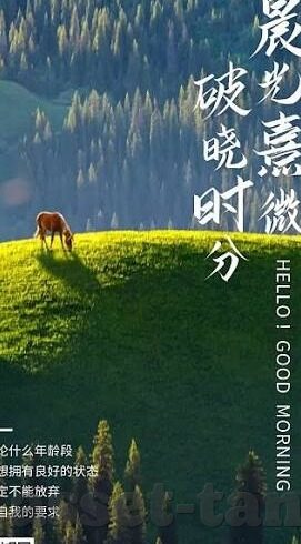 av人妻社区男人天堂-探索成人内容社区的边界，AV人妻社区与男人天堂的迷思