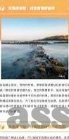 成人手机视频免费观看在线-成人手机视频，探索网络世界的隐秘角落