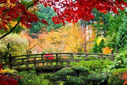 果冻传媒国产午夜av密臀-果冻传媒与国产午夜AV，文化与道德的边界探讨