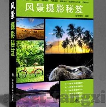 麻豆传媒磁力下载-沉沦科技海洋，详解麻豆传媒及其潜在风险