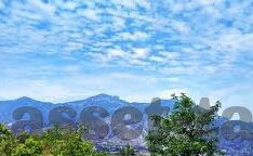 麻豆传煤印画app下载-麻豆·传煤印画，数字化的艺术魅力
