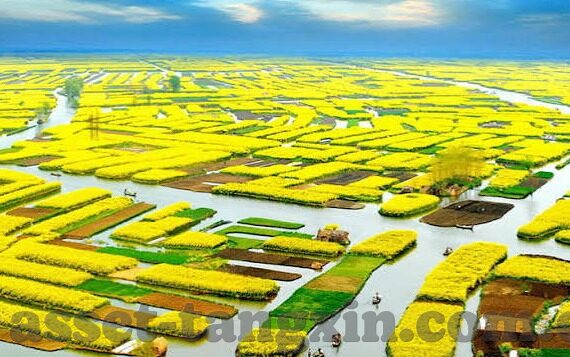 麻豆免费传媒-麻豆免费传媒，后数字化时代的和谐共享