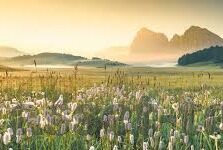 糖心直播app下载ios苹果-糖心直播，解锁娱乐新视界