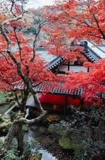 天美传媒果冻传媒-探索数字娱乐的多元视角，天美传媒与果冻传媒的创意交融